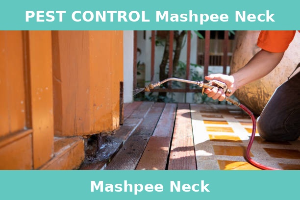 PEST CONTROL Mashpee Neck